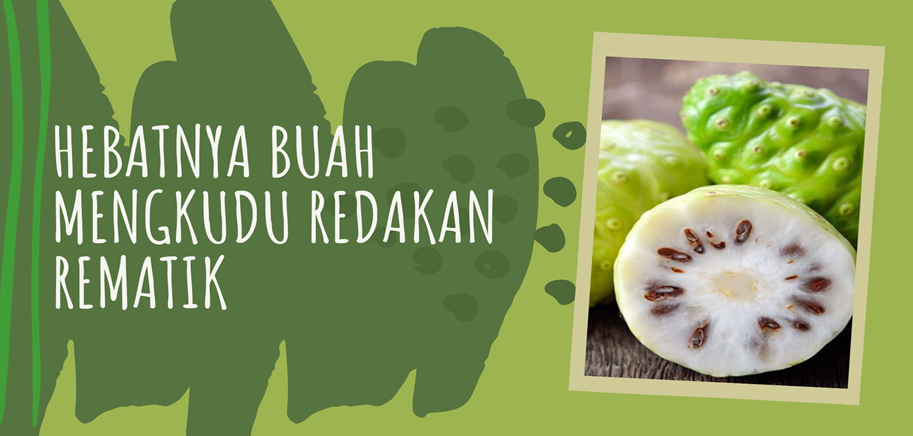 Hebatnya Buah Mengkudu Redakan Rematik